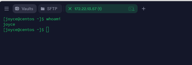 image-20260309210427271